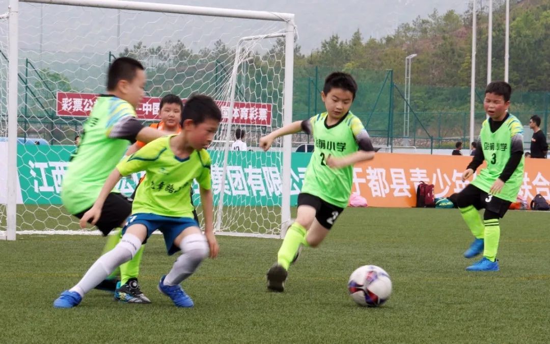 图片1.jpg 图片1.jpg